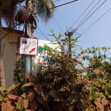 Sugar Plum Macedo Palms Baga Exterior foto