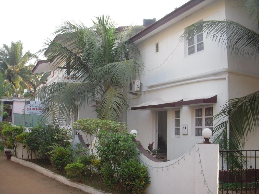 Sugar Plum Macedo Palms Baga Exterior foto