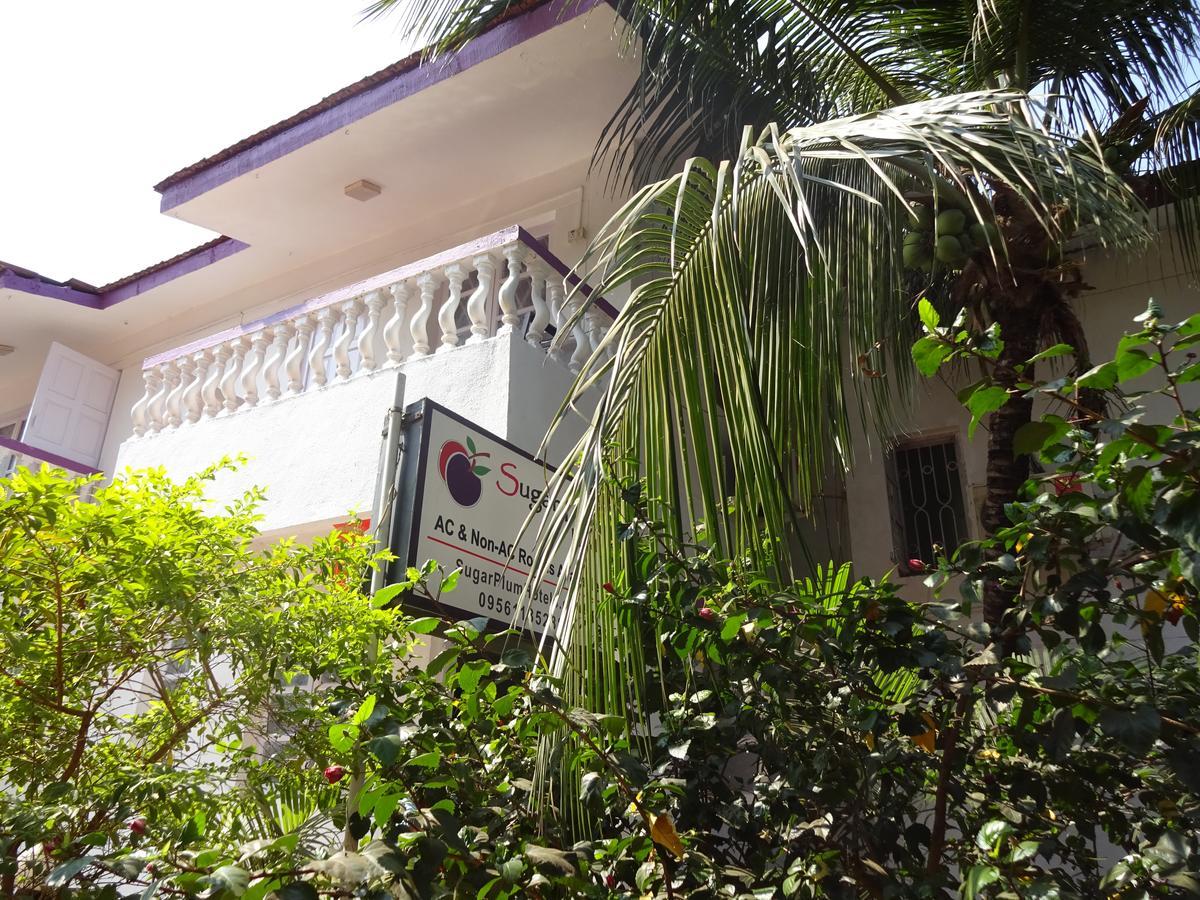 Sugar Plum Macedo Palms Baga Exterior foto