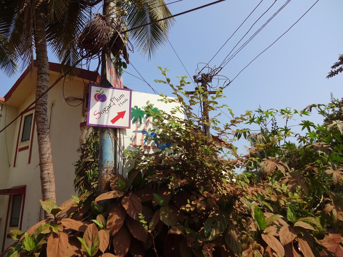 Sugar Plum Macedo Palms Baga Exterior foto