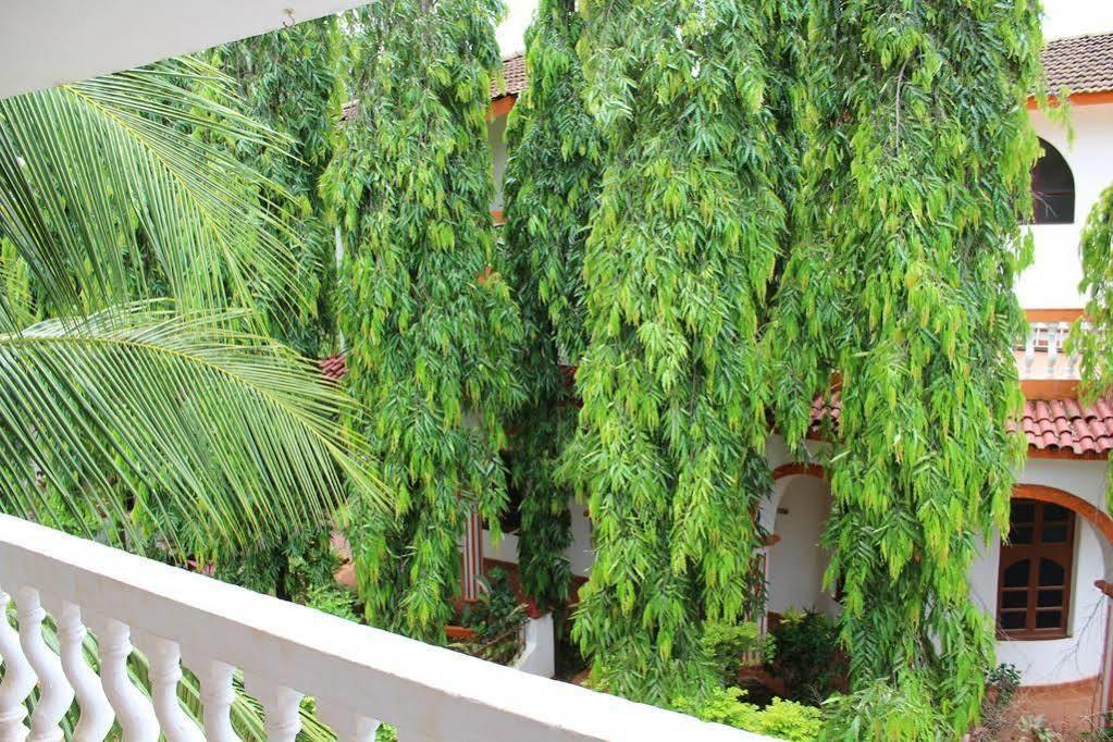 Sugar Plum Macedo Palms Baga Exterior foto